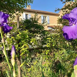 Bed and Breakfast Le Petit Cochon Valence-sur-Baise Exterior photo