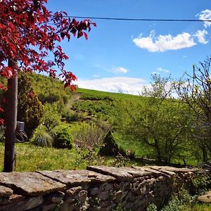 Готель Agriturismo Locanda Dei Cacciatori Дольяні Exterior photo