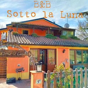 B&B Sotto La Luna Agugliano Exterior photo