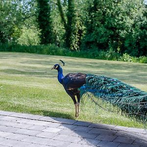 Апартаменти Geoff'S Rest At Pond Hall Farm In Hadleigh With Private Hot Tub Іпсвіч Exterior photo