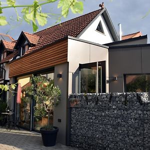 Апартаменти Winzerhof & Weincafe Guempelein Willanzheim Exterior photo