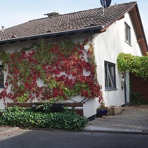 Haus Eifeldolomiten - Ankommen Und Wohlfuhlen Ґерольштайн Exterior photo