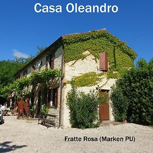 Ferienhaus "Casa Oleandro" In Fratte Rosa, Italien San Lorenzo in Campo Exterior photo