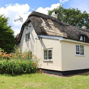Beautiful Character 5 Bedroom Dorset Thatched Cottage - Great Location - Garden - Parking - Fast Wifi - Smart Tv - Newly Decorated - Sleeps Up To 10! Only 18 Mins Drive To Sandbanks Beach! Close To Bournemouth & Poole Вімборн-Мінстер Exterior photo