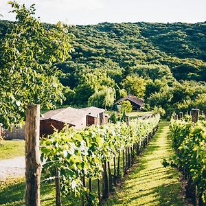 Bed and Breakfast Dutch Hill Золочань Exterior photo