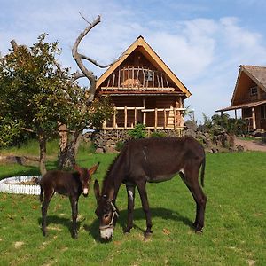 Апартаменти Tree House Согвіпо Exterior photo