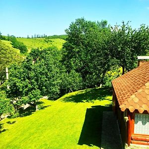 Bed and Breakfast Садиба У Василя Воловець Exterior photo