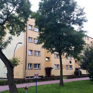 Lovely Place-Apartament Освенцім Exterior photo