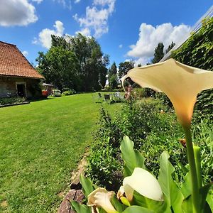 Bed and Breakfast La Flandre Entre Plaine, Mer Et Marais Rubrouck Exterior photo