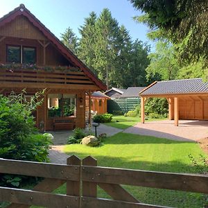 Вілла 'T Holten Huus - Puur Genieten In Het Bos. Norg Exterior photo