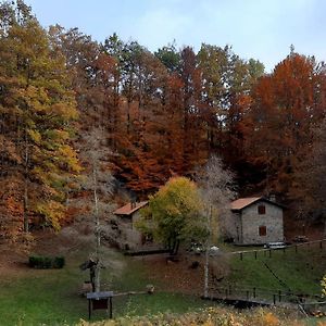 Апартаменти Agriturismo Il Canale Corfino Exterior photo