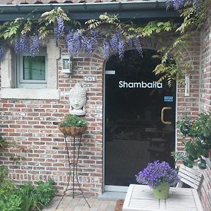 Shamballa B & B/ Logies Дейнзе Exterior photo