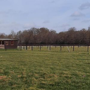 Unieke Vriendenkamer Met Bedstedes Tot 11 Personen En 2 Rustig Gelegen Chalets 2 En 4 Persoons Te Huur! Аугюстінюсга Exterior photo