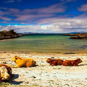 Апартаменти An Outdoor Enthusiasts Piece Of Heaven Gairlochy Exterior photo