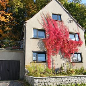 Вілла Unser Ferienhaus Ebersbach-Neugersdorf Exterior photo