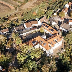 Готель Seminar- Und Gaestehaus Burghof Stauf Exterior photo