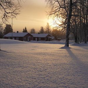 Вілла Lapland Stuga & Tours Rentjarn Exterior photo