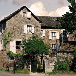 Bed and Breakfast Maison D'Hotes La Singuliere Северак-ле-Шато Exterior photo