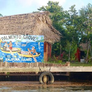 Palmento Grove Garifuna Eco-Cultural & Healing Institute Хопкінс Exterior photo