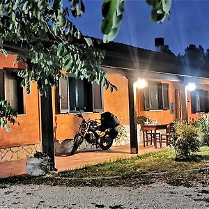 Il Girasole B&B Чепрано Exterior photo