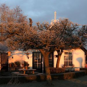 Bed and Breakfast The Wee White Hoose Остернейкерк Exterior photo