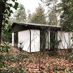 Вілла Www Huis Op De Veluwe Nl Нюнспет Exterior photo