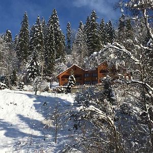 Готель Privatna Sadiba Chalet Орявчик Exterior photo