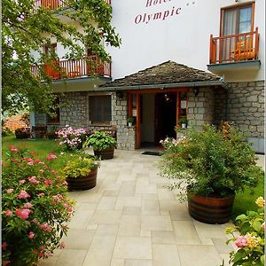 Hotel Olympic Мецово Exterior photo