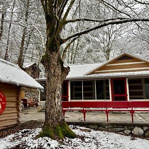 Вілла Beary Relaxing Cabin - Rustic With Outdoor Patio Таунсенд Exterior photo