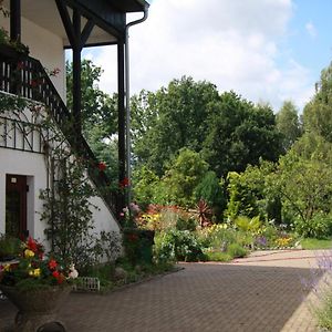 Готель Gasthof & Pension Palmenhof Leegebruch Exterior photo