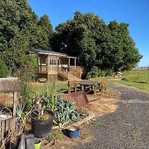 Вілла The Treehut Ohauiti Exterior photo