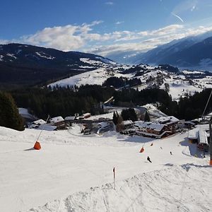 Вілла Panorama Chalet Міттерзілль Exterior photo