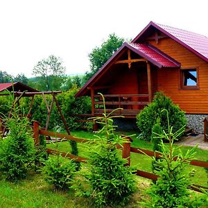 Вілла Agroturystyka Zielona Zagroda W Kosztowej Дубецько Exterior photo