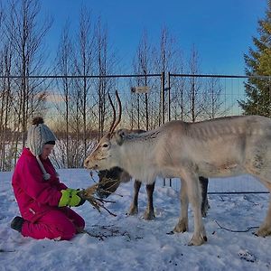 Вілла Beautiful Rural Experience With Reindeer Tervola Exterior photo