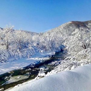 Вілла Жива вода Шешори Exterior photo