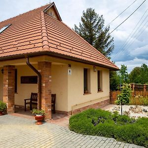 Готель Mezes Vendeghaz Es Apiterapias Koezpont Vizsoly Exterior photo