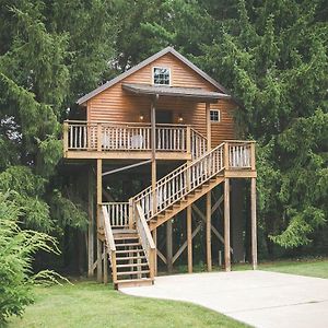 Lofty Willows Treehouse By Amish Country Lodging Міллерсбург Exterior photo