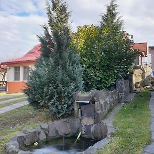 Вілла Casa Cu Fantana Borlesti Exterior photo