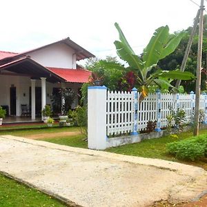 Готель Wilpattu Lakwin Guest Pahala Maragahawewa Exterior photo