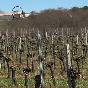 Апартаменти Superbe Gite A La Campagne Dans Le Bordelais Saint-Vivien-de-Blaye Exterior photo