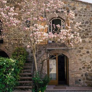 Bed and Breakfast La Magnolia Греве-ін-К'янті Exterior photo