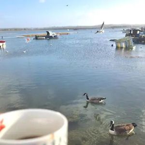 Вілла Holes Bay Nature Reserve, Poole, Right Next To The Water Exterior photo