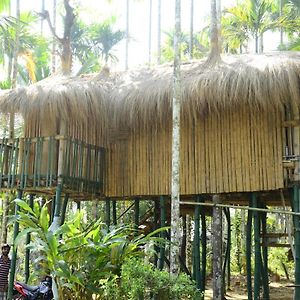 Greenways Tree House And Mud House Chegat Exterior photo