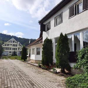 Готель Antal Apartmans Lunca De Sus Kulcsoshaz Gyimesfelsolok Exterior photo