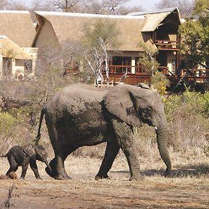 Elephant Plains Game Lodge Заповідник Сабі-Санд Exterior photo