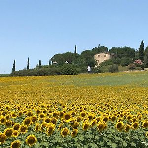 Bed and Breakfast Il Vecchio Seccatoio Solomeo Exterior photo