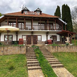 Villa Balconlux - Zavojsko Jezero, Пірот Exterior photo
