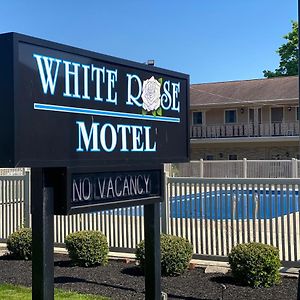 White Rose Motel - Герші Exterior photo