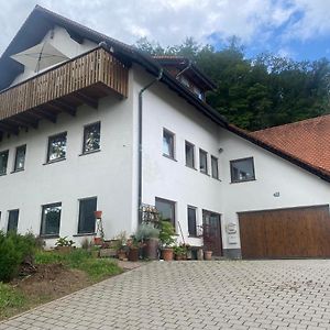Апартаменти Haus Dreil Ober-Abtsteinach Exterior photo