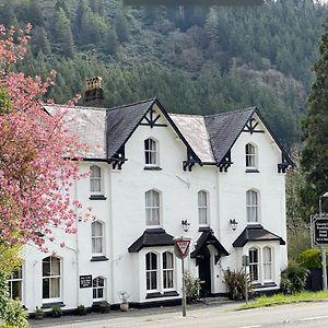 Готель The Buckley Arms Dinas Mawddwy Exterior photo